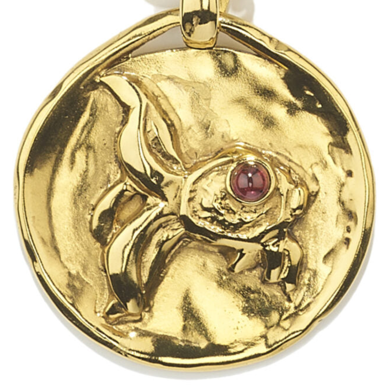 Collier Poisson Talisman Astro Bijou trempé dans un bain d'or 24 carats